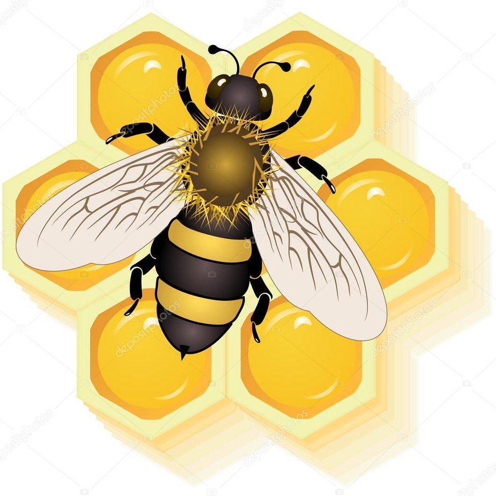 Пчела мед вектор белый фон