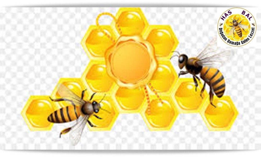 Веселый улей