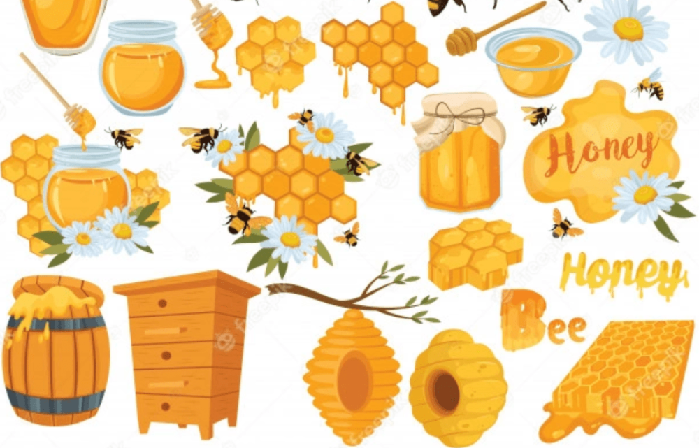 Мед Векторная иллюстрация