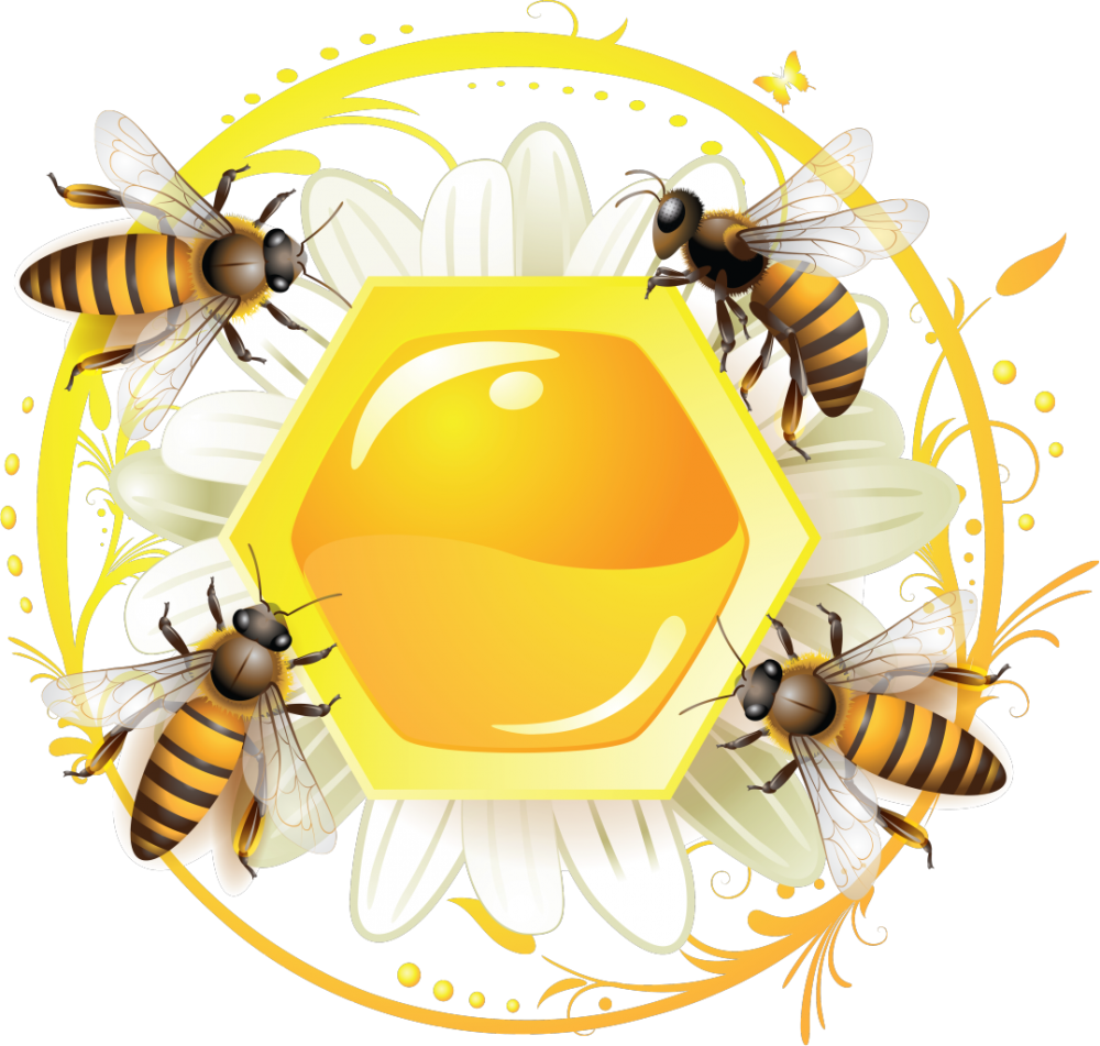 Мед этикетка