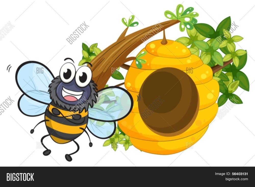 Дерево с ульем и пчелами на белом фоне