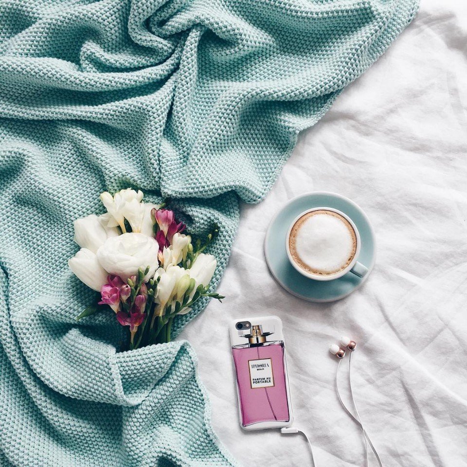 Яркое утро цветы