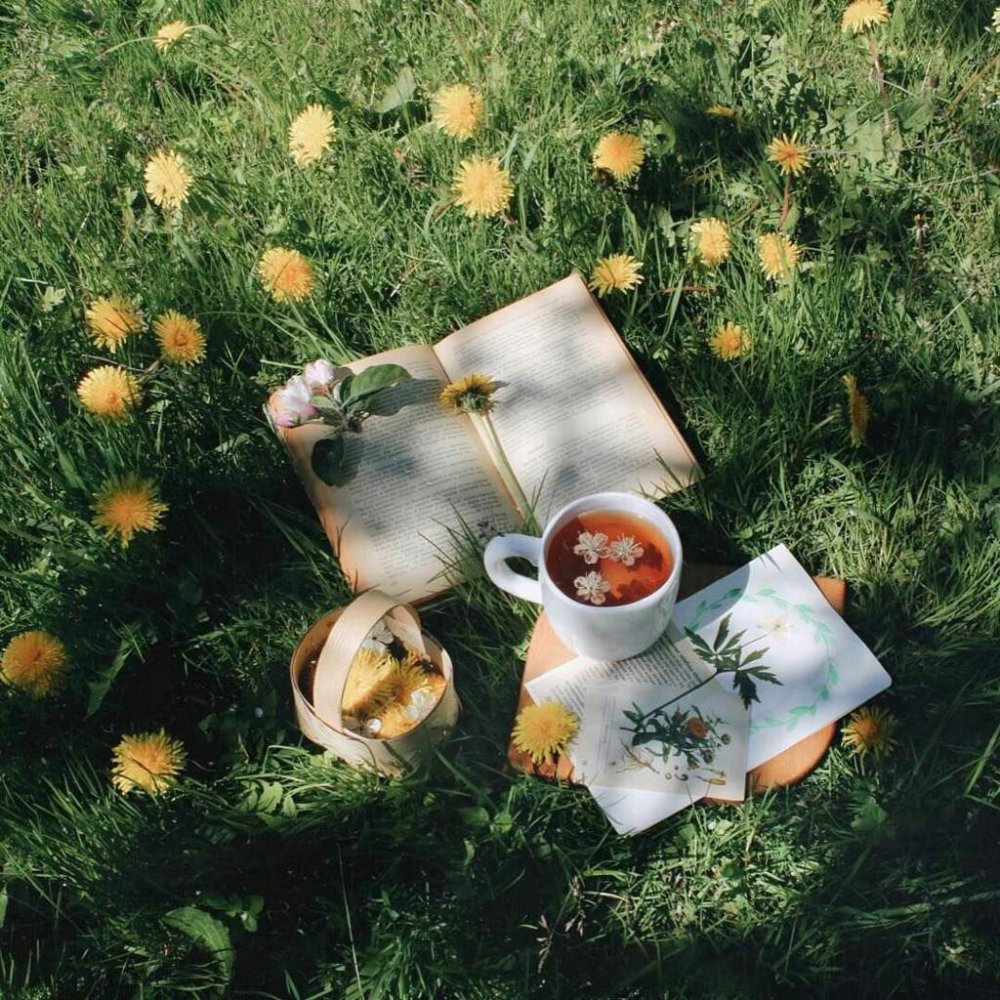 Фон для инстаграмма