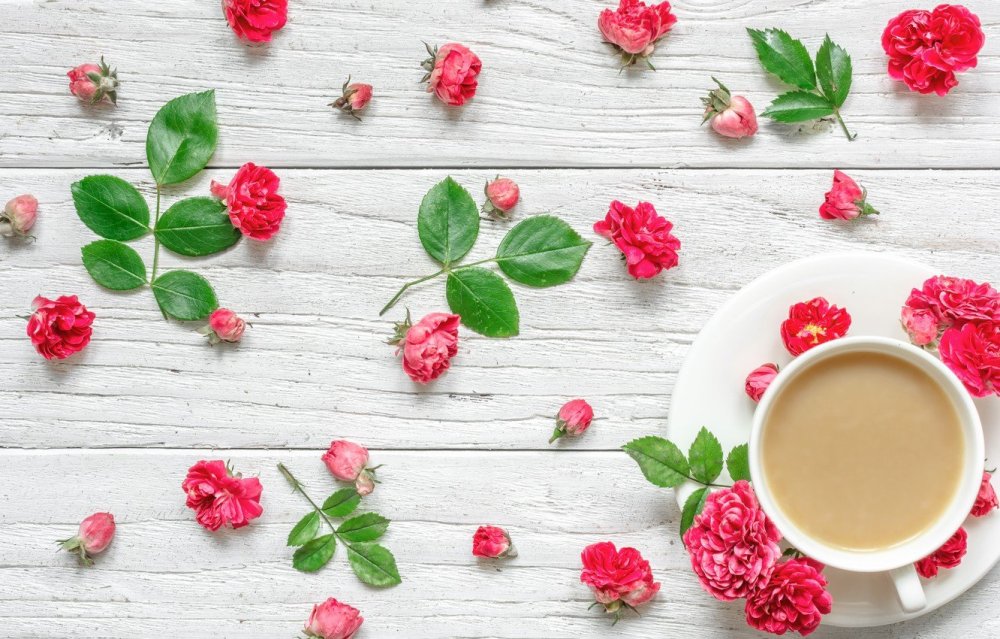 Фон кофе цветы