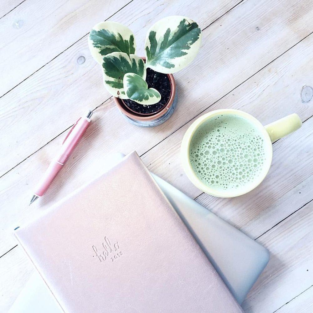 Лето кофе цветы