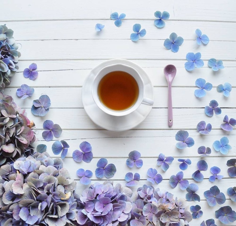 Доброе утро в мятных тонах