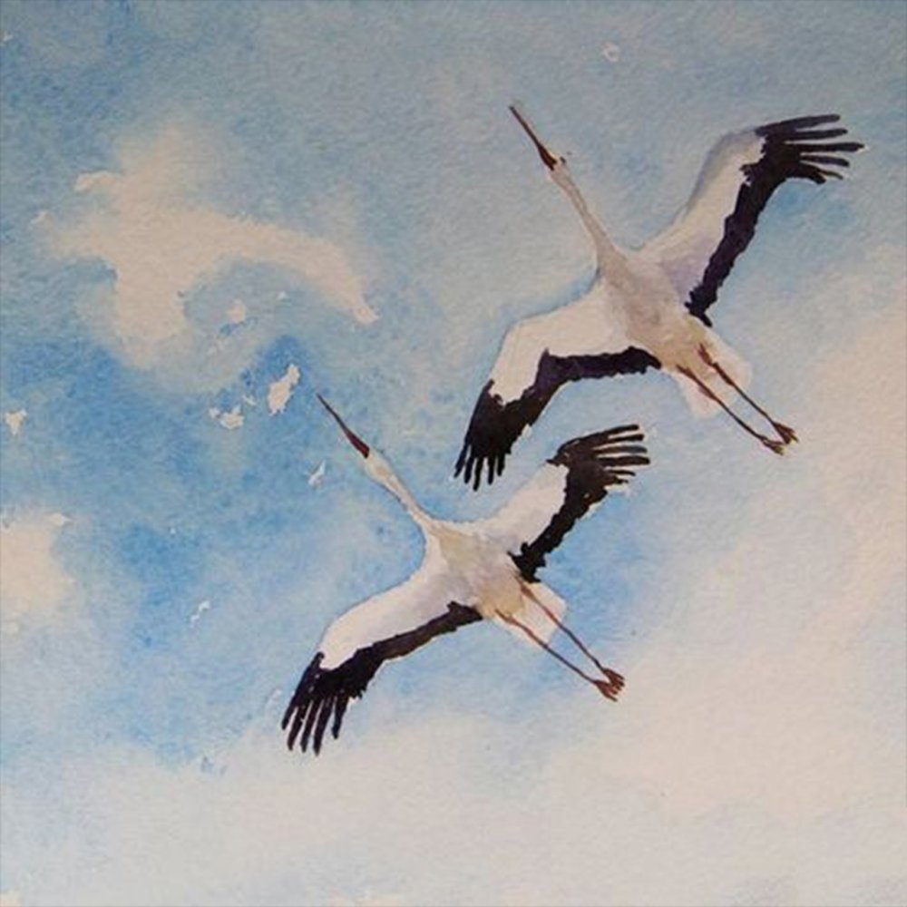 Аист акварель