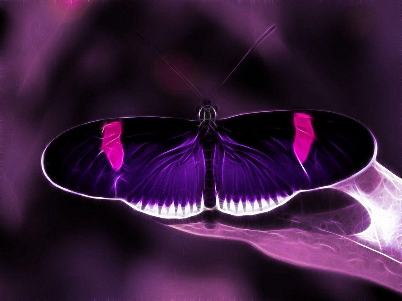 Бабочки фиолетового цвета. Горгеус бабочка. Бабочка фиолетовая. Яркие бабочки. Сиреневые бабочки.