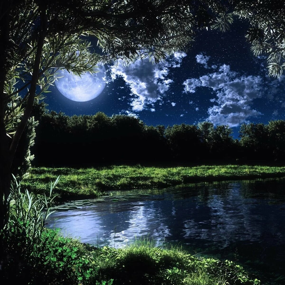 Вдали светит луна. Природа ночью. Ночной пейзаж. Озеро ночью. Красивые ночные пейзажи.