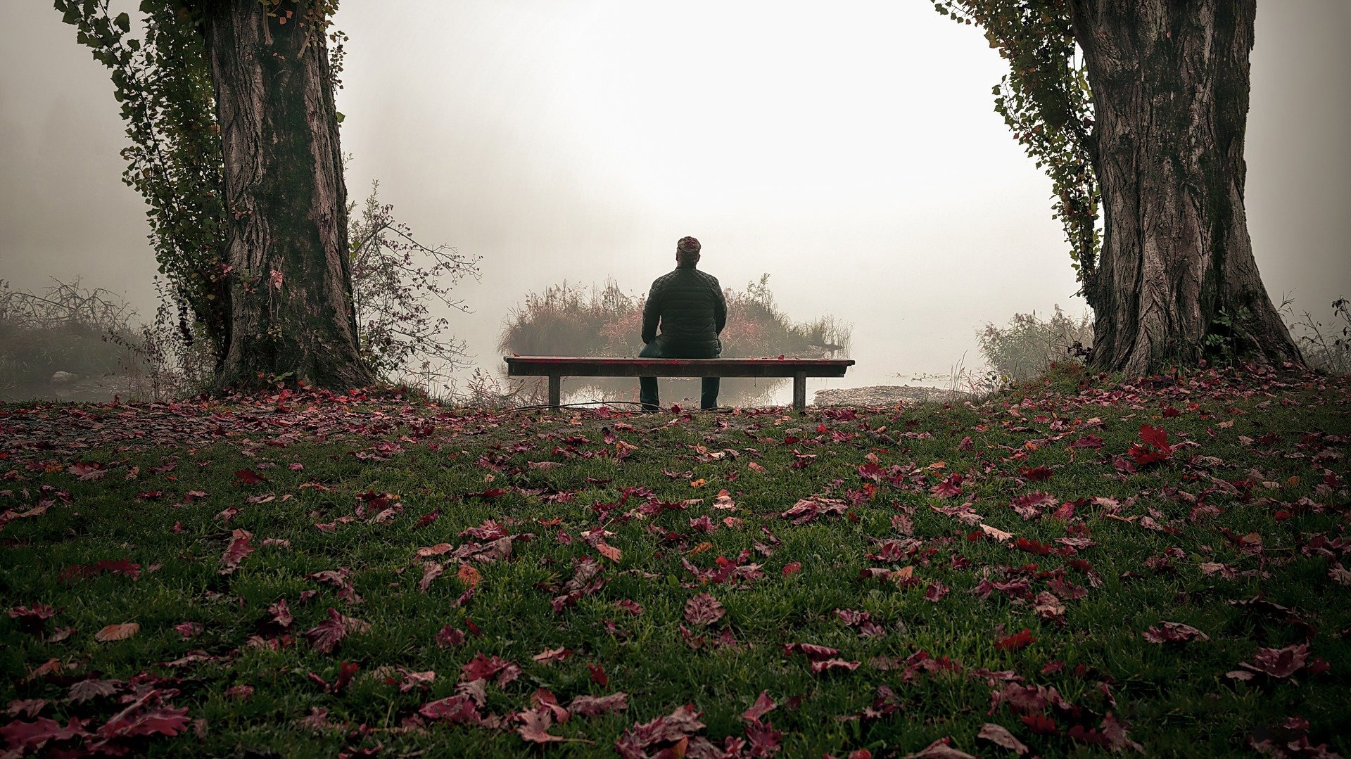 Скучная унылая. Осень одиночество. Осень одинокий человек. Уединение с природой. Одиночество в лесу.