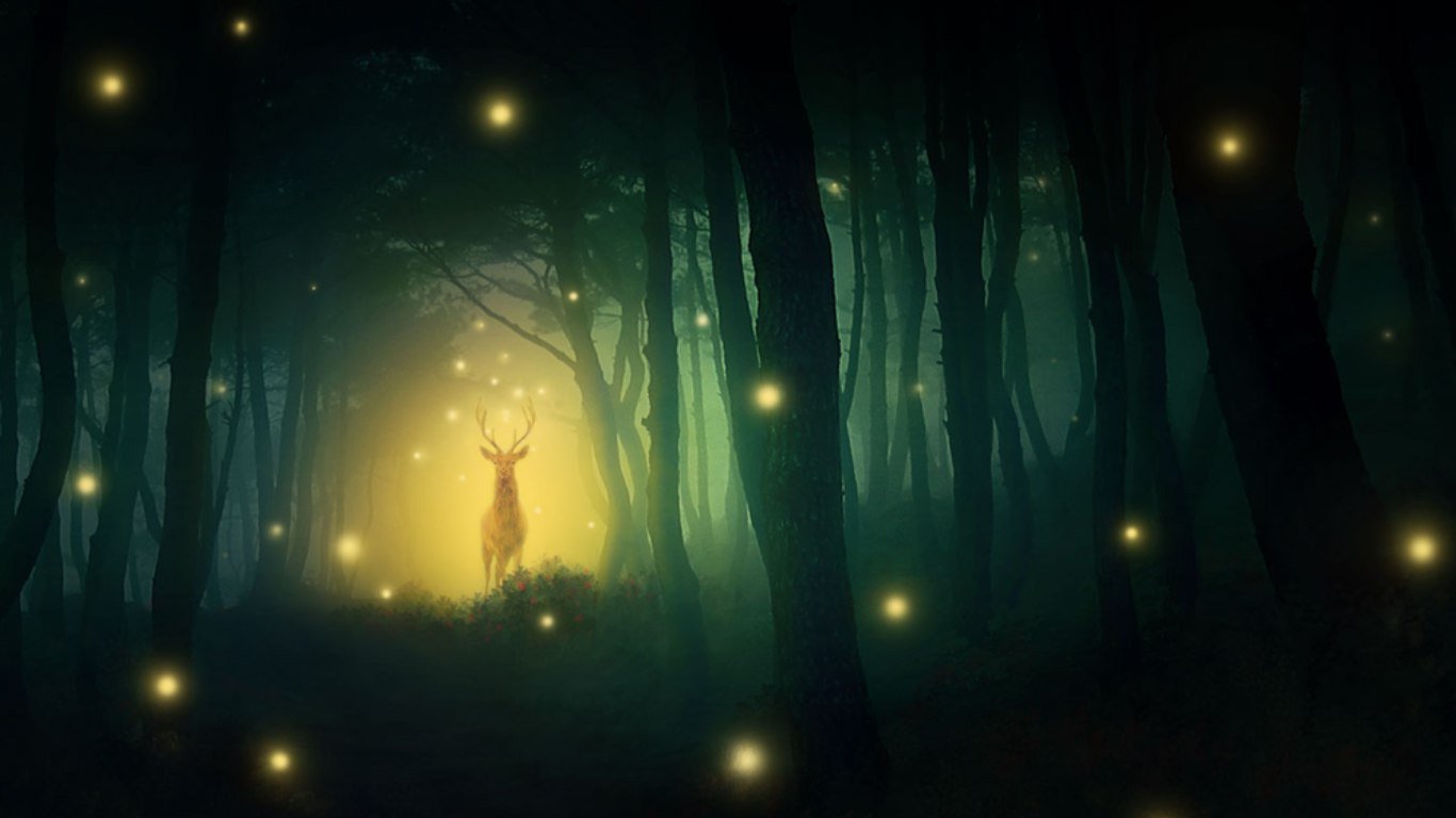 Сказочный лес светлячки