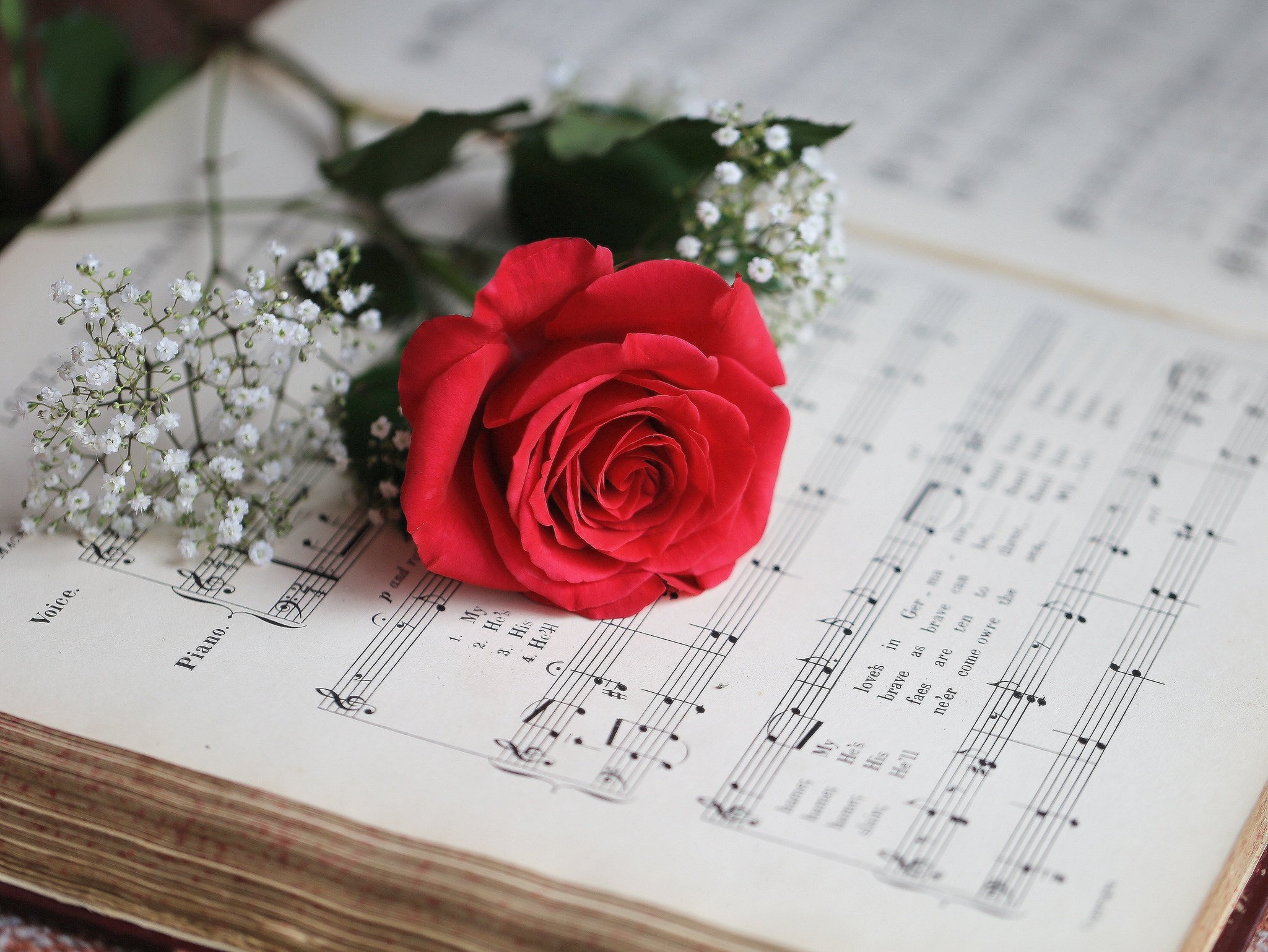 Нежные песни на телефон. Цветы для музыканта. Музыкальный цветок. Ноты и цветы. Цветы на рояле.