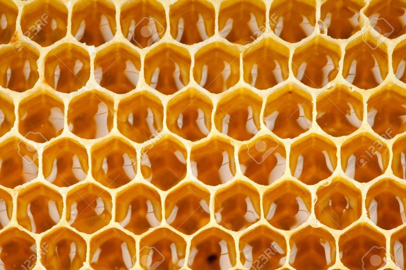 Как получить пчелиные соты. Соты пчелиные. Мед в сотах макро. Пчела на сотах. Соты фото.