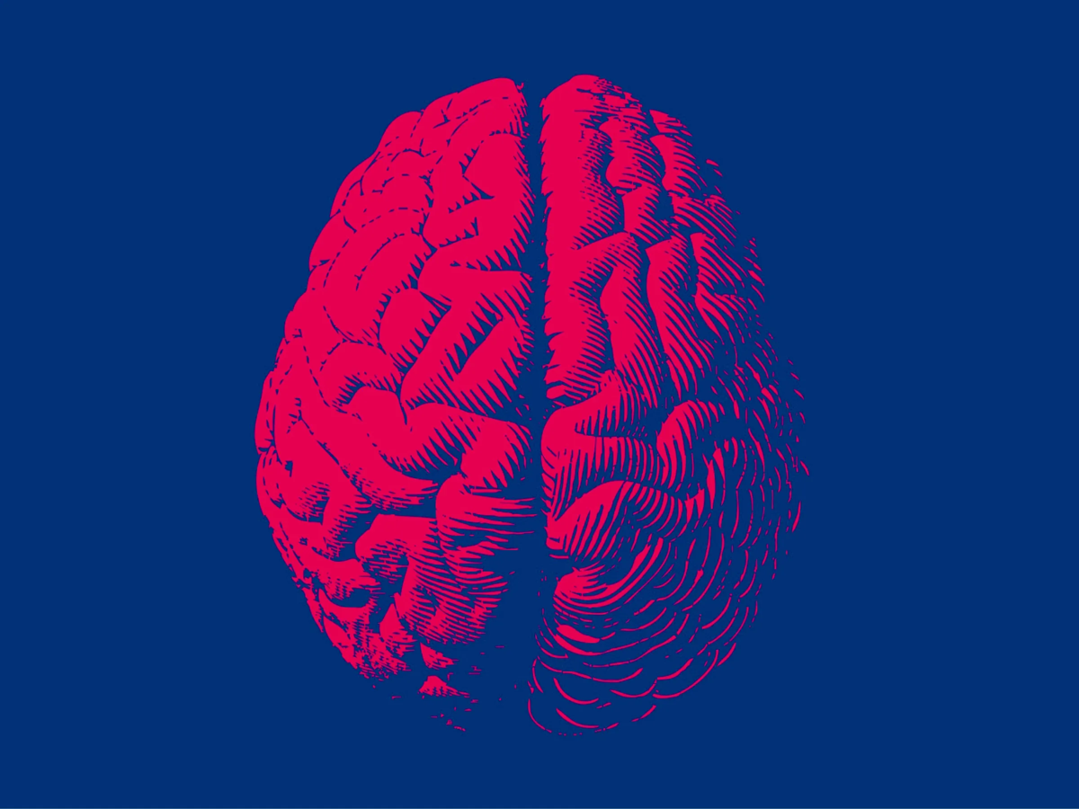 Гениальные мозги. Заставки человеческий мозг. Мозг человека арт.