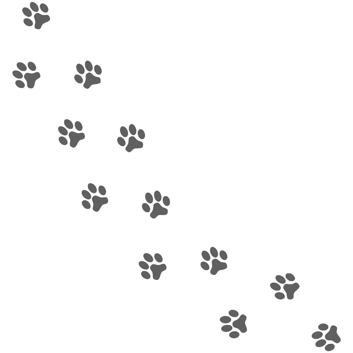 Собачьи следы на белом фоне