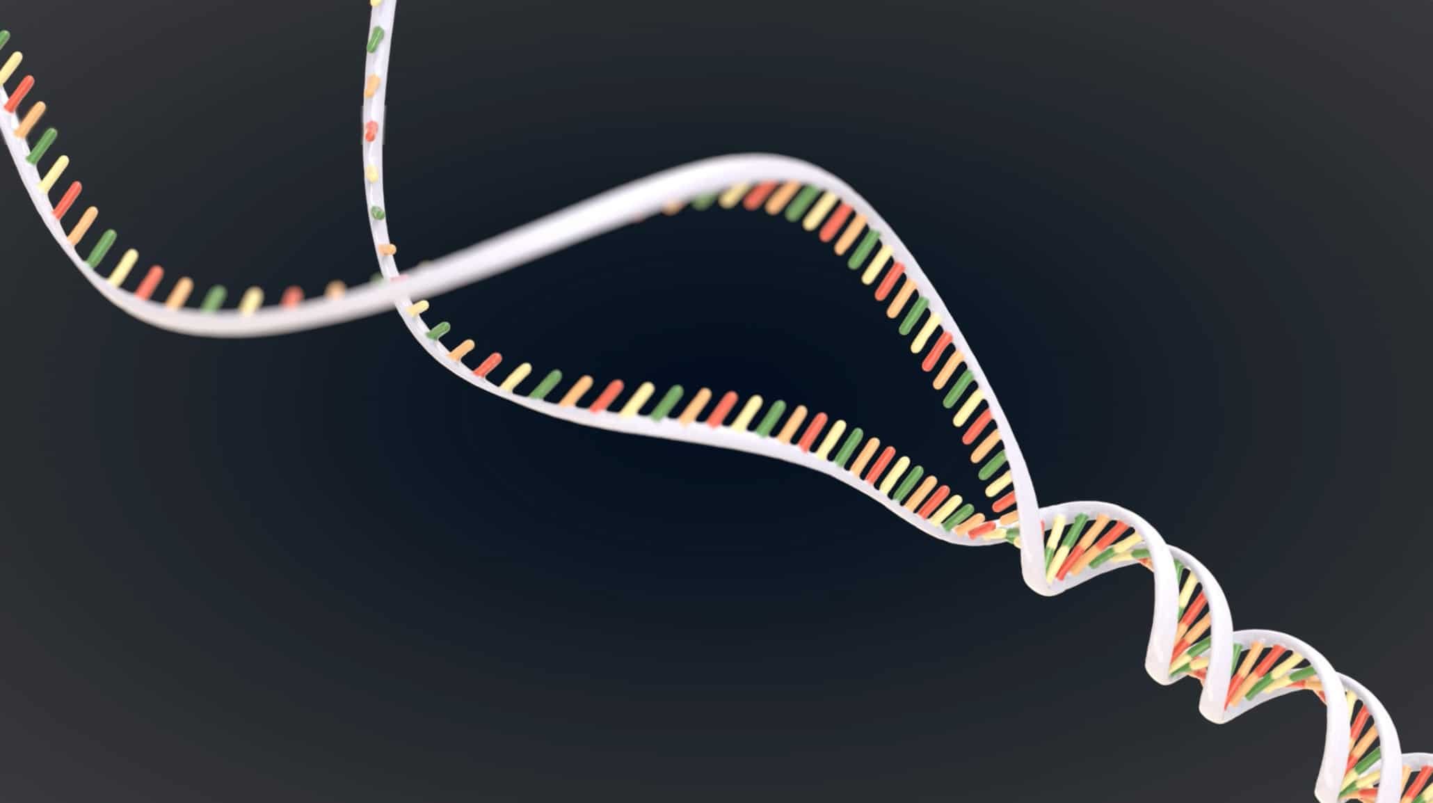 Процесс разрезания молекулы днк. Репликация ДНК. ДНК полимераза репликация ДНК. Репликация ДНК картина. Иллюстрация репликации ДНК.