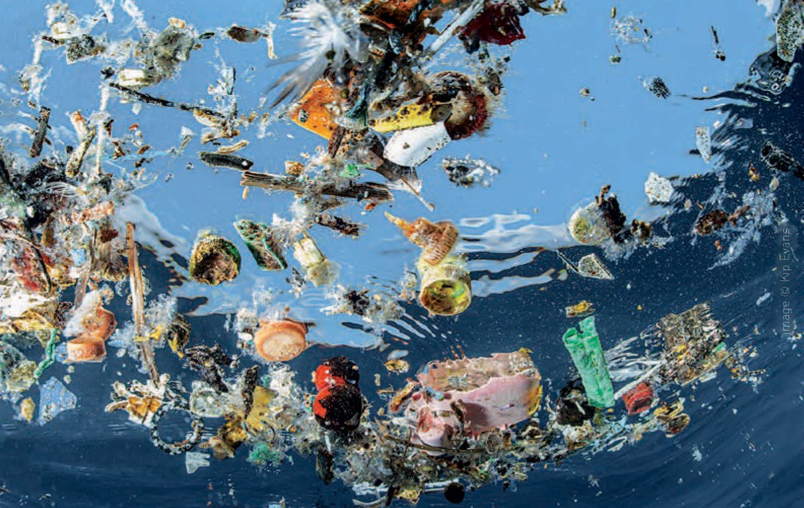 Отходы на планете земля. Загрязнение мирового океана пластиком. Физическое загрязнение мирового океана. Пластик в океане. Пластмассовые отходы в океане.