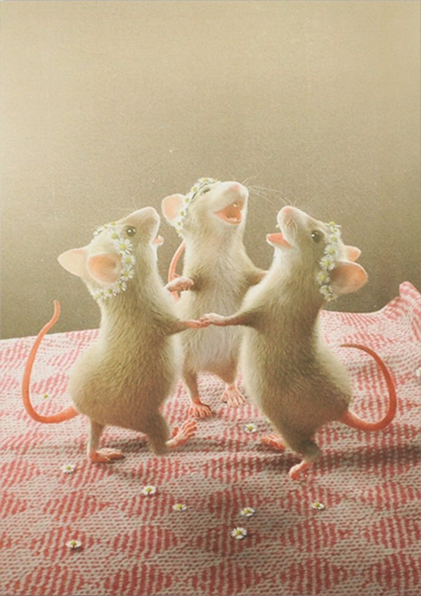 Танцующие крыски