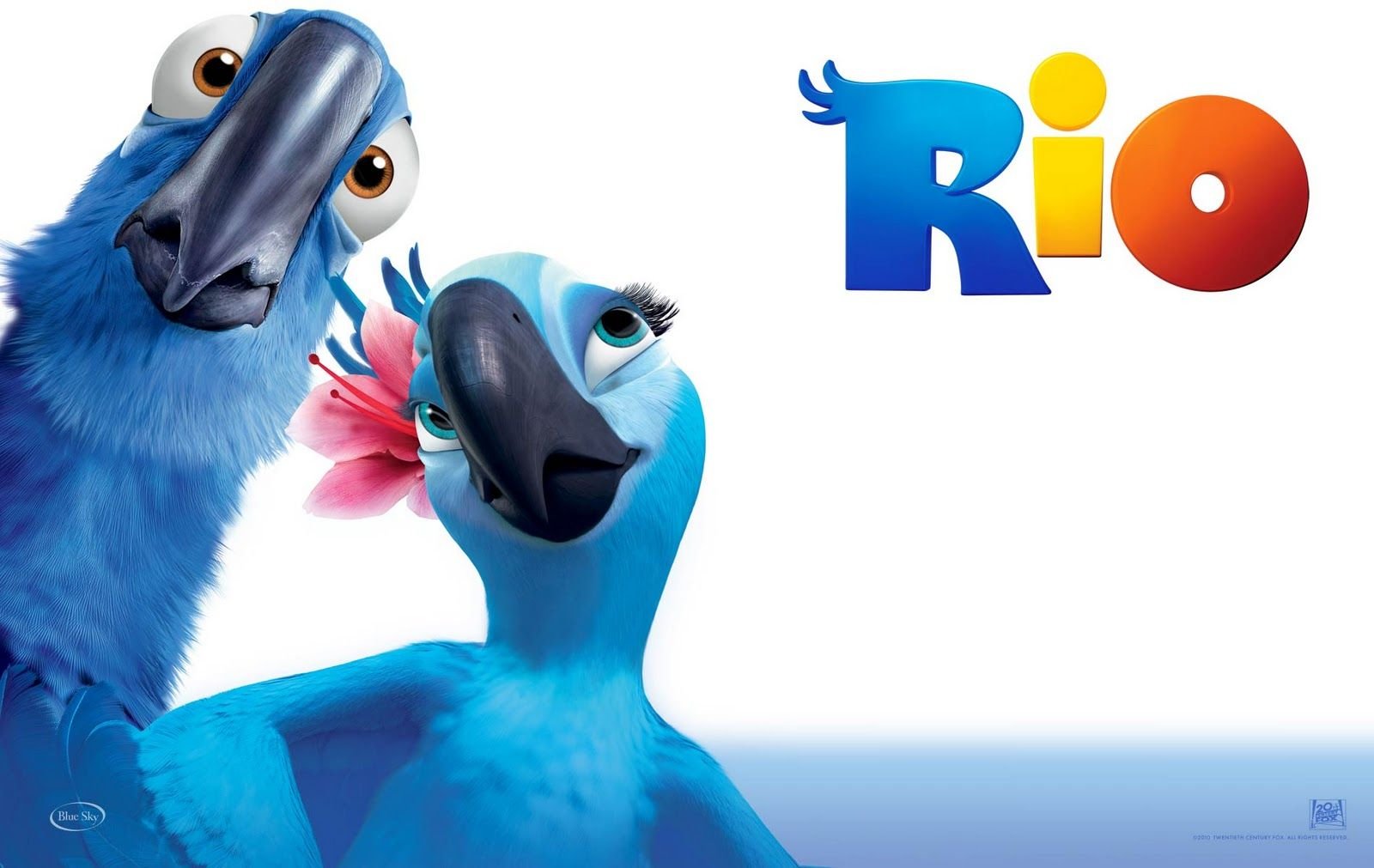 Рио 2. Попугай Рио 2. Попугаи мультфильма Рио. Rio movie