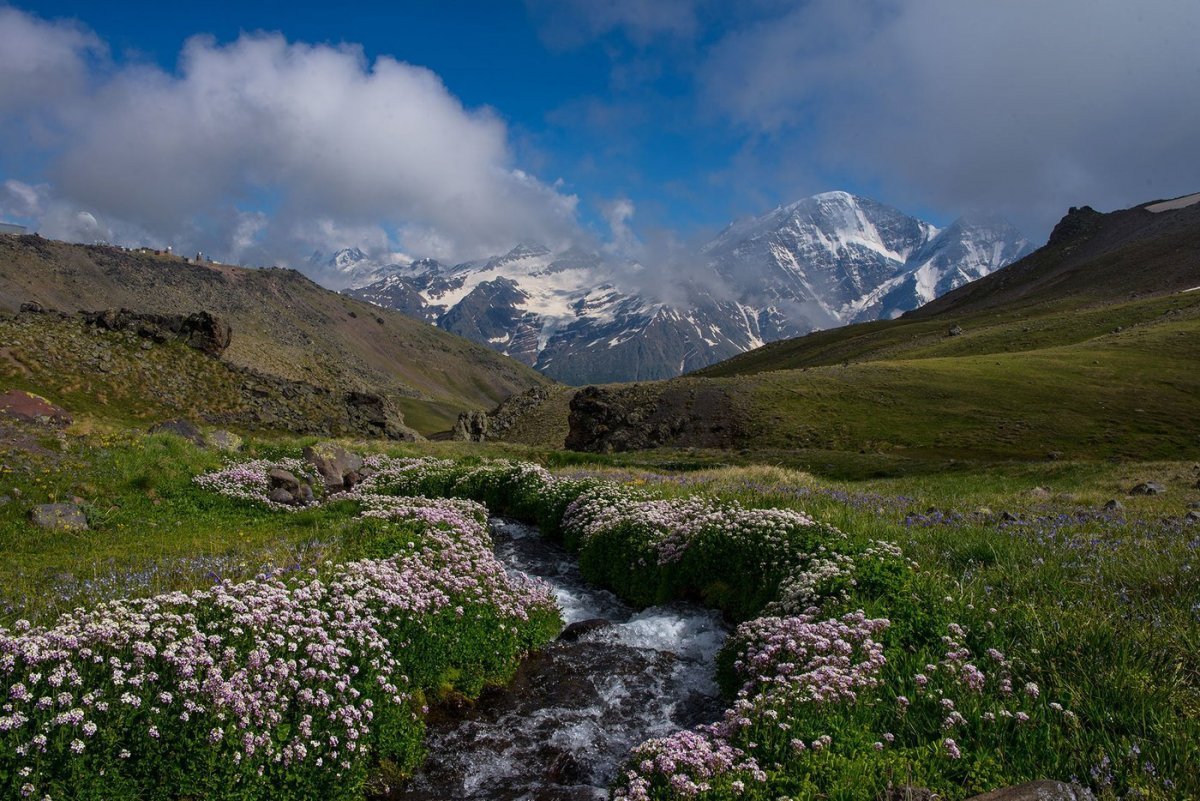 Альпийские Луга Дагестана