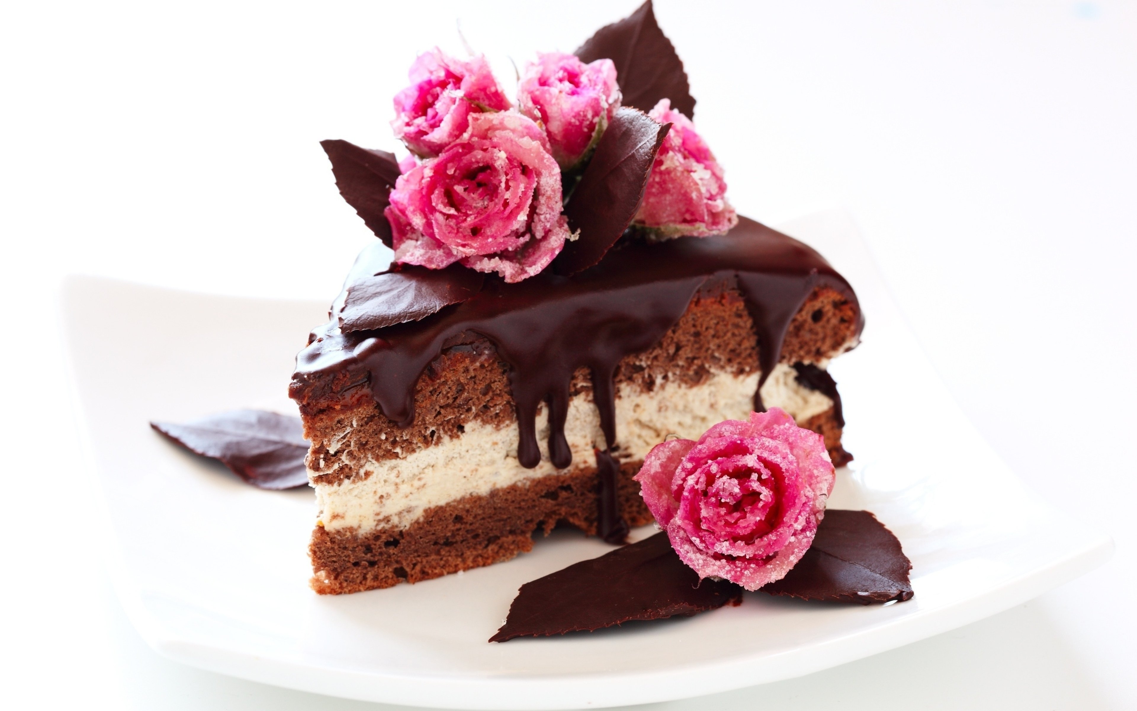 Кусочек прекрасного. Кусок торта. Красивый шоколадный торт. Красивые торты. Торт со сладостями.