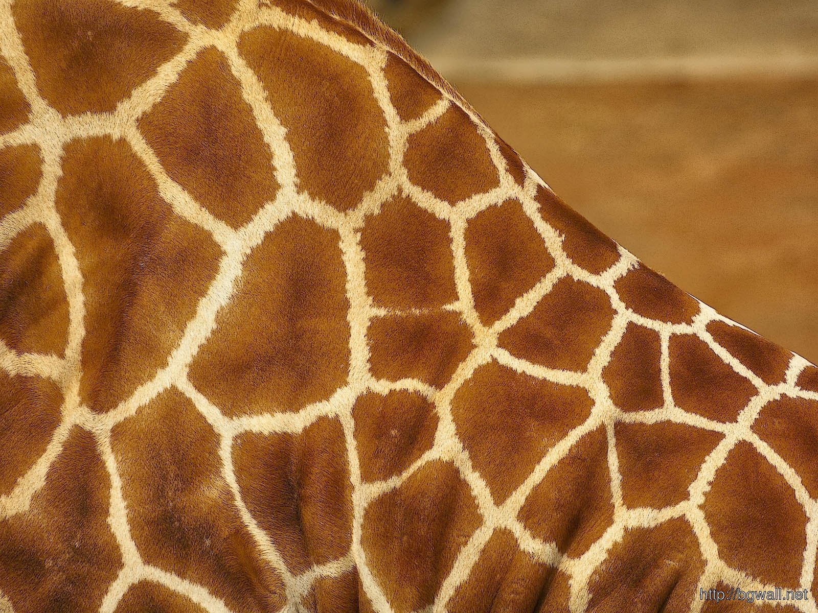 Шкура жирафа