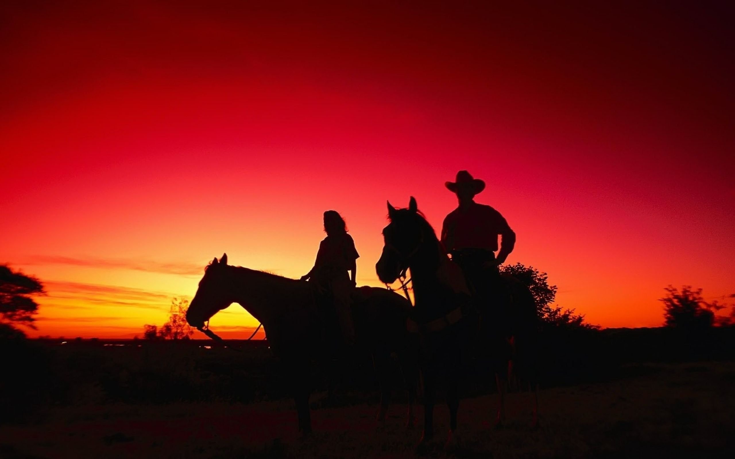 Футаж ковбоя. Техас ранчо Ковбои. Лошади на закате. Всадник на закате. Ковбой на лошади.