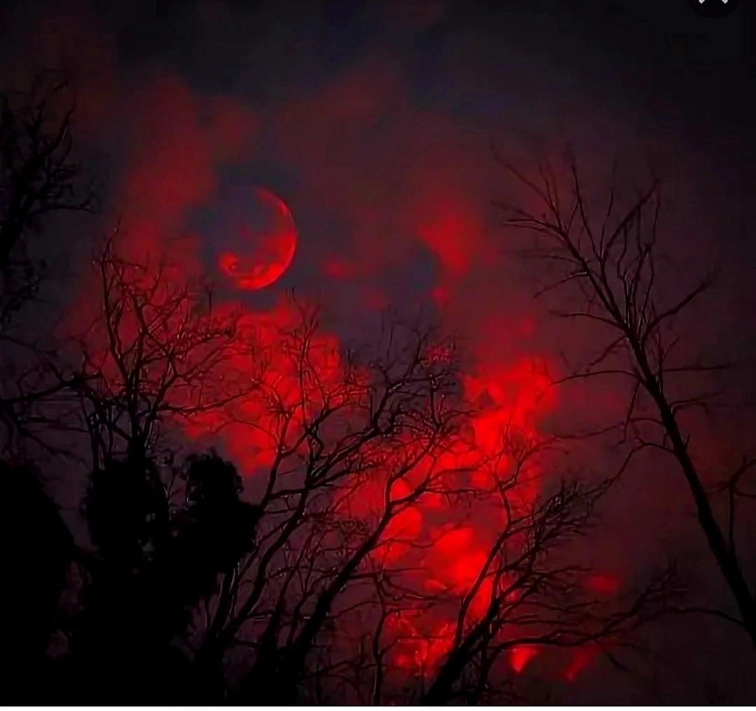 Есть кровавая ночь. Красная Луна. Кровавый закат. Кровавая Луна в лесу. Кровавое полнолуние.