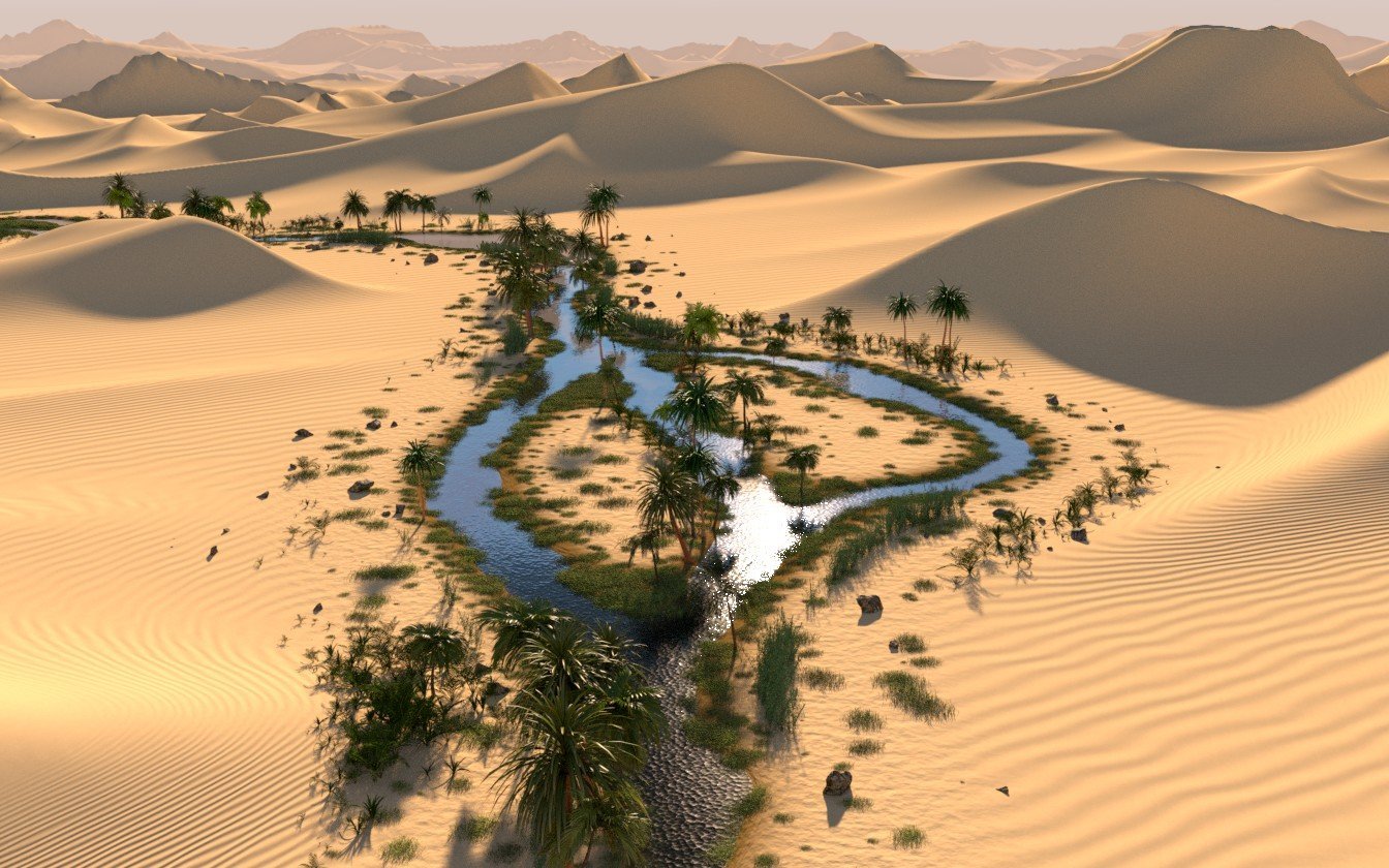 Египет Оазис в пустыне