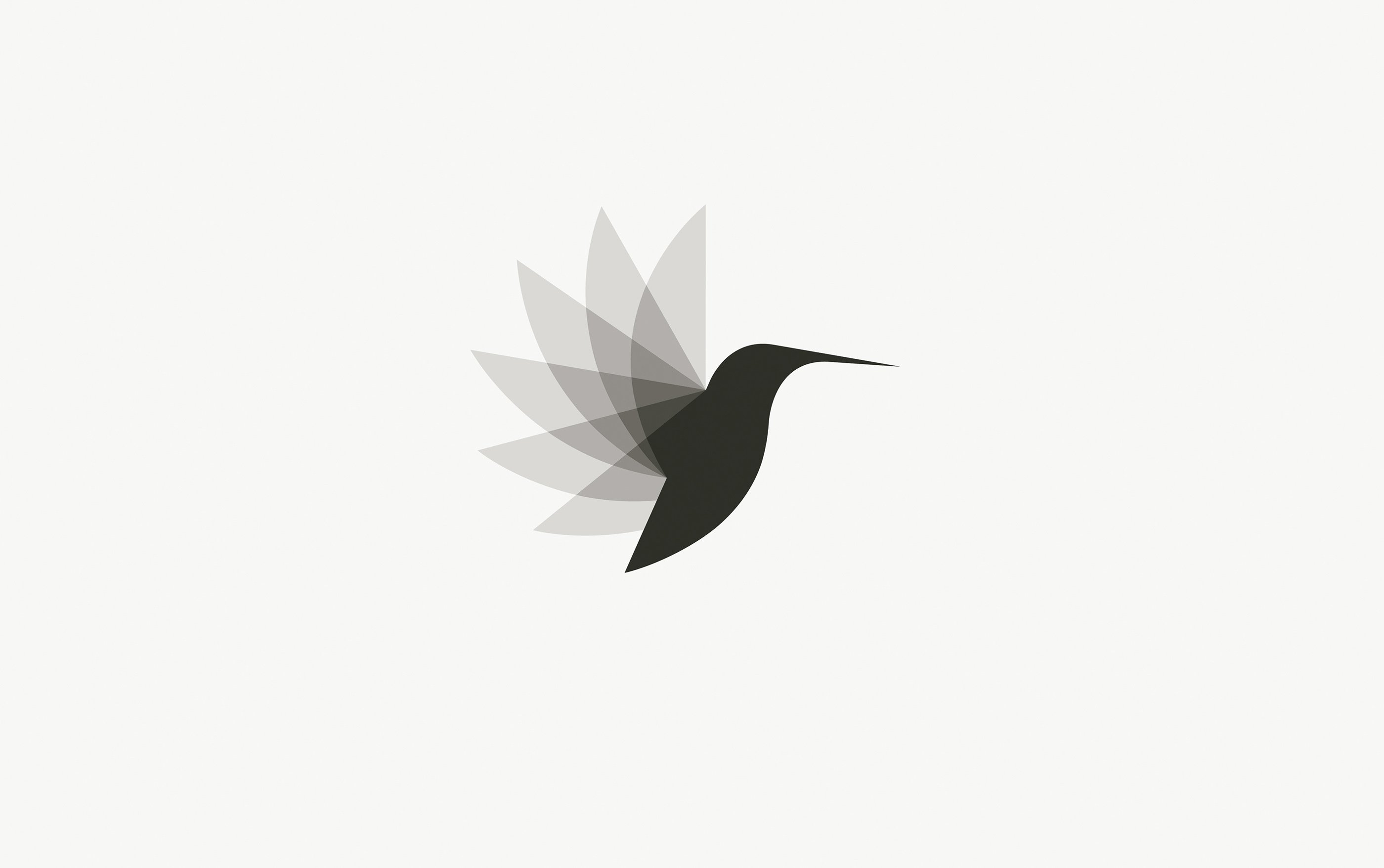 Колибри символ. Стилизованная птица. Птица Минимализм. Колибри логотип. Логотип птица.