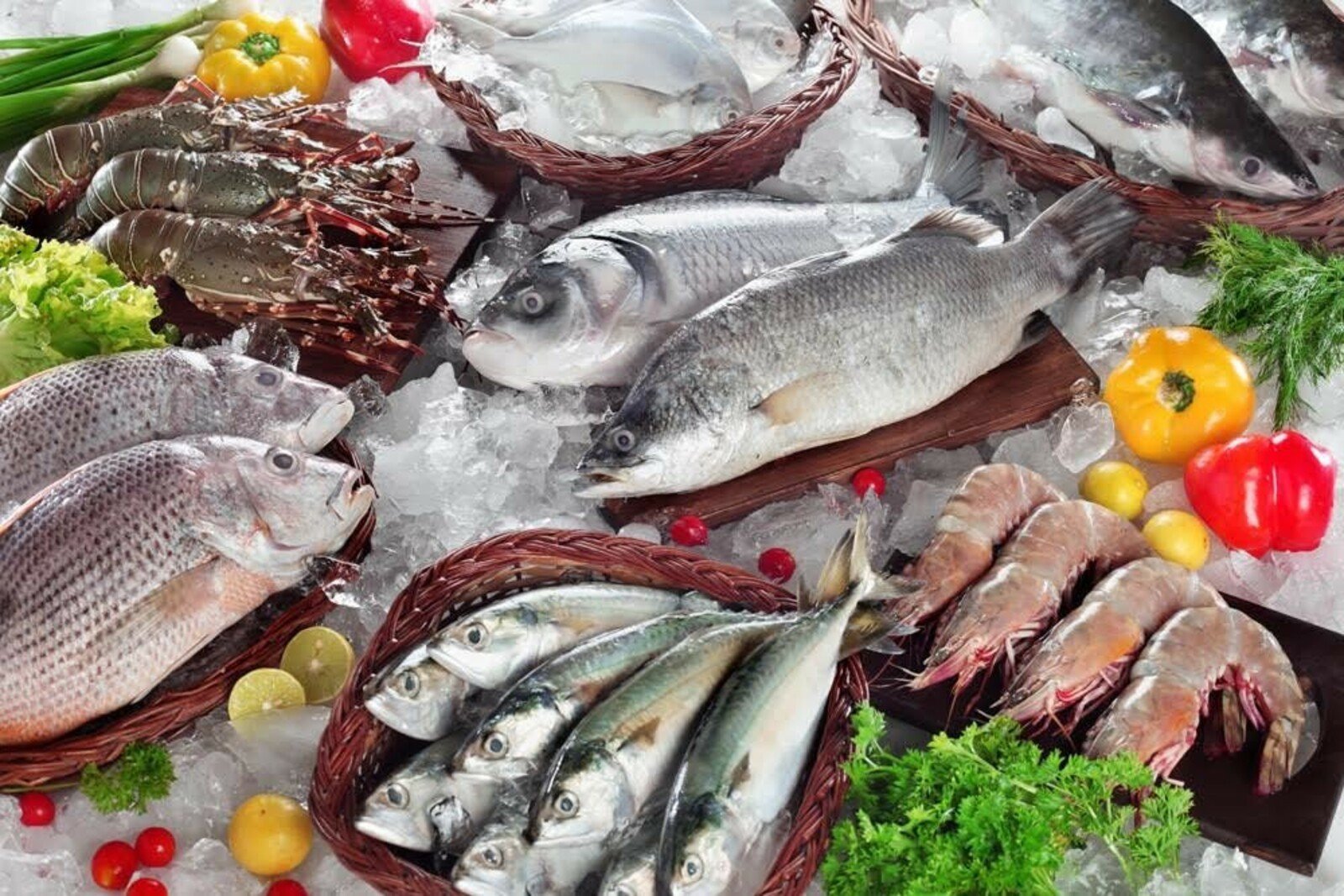 Купить свежую рыбу с доставкой. Рыбная продукция. Свежая рыба. Рыба и морепродукты. Рыба в ассортименте.