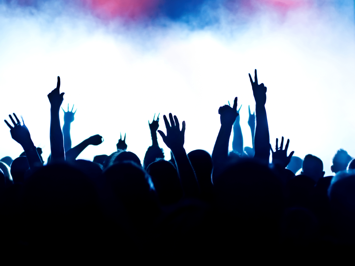 Good audience. Толпа на концерте. Рок концерт толпа. Поднятые руки на концерте. Толпа людей на концерте.