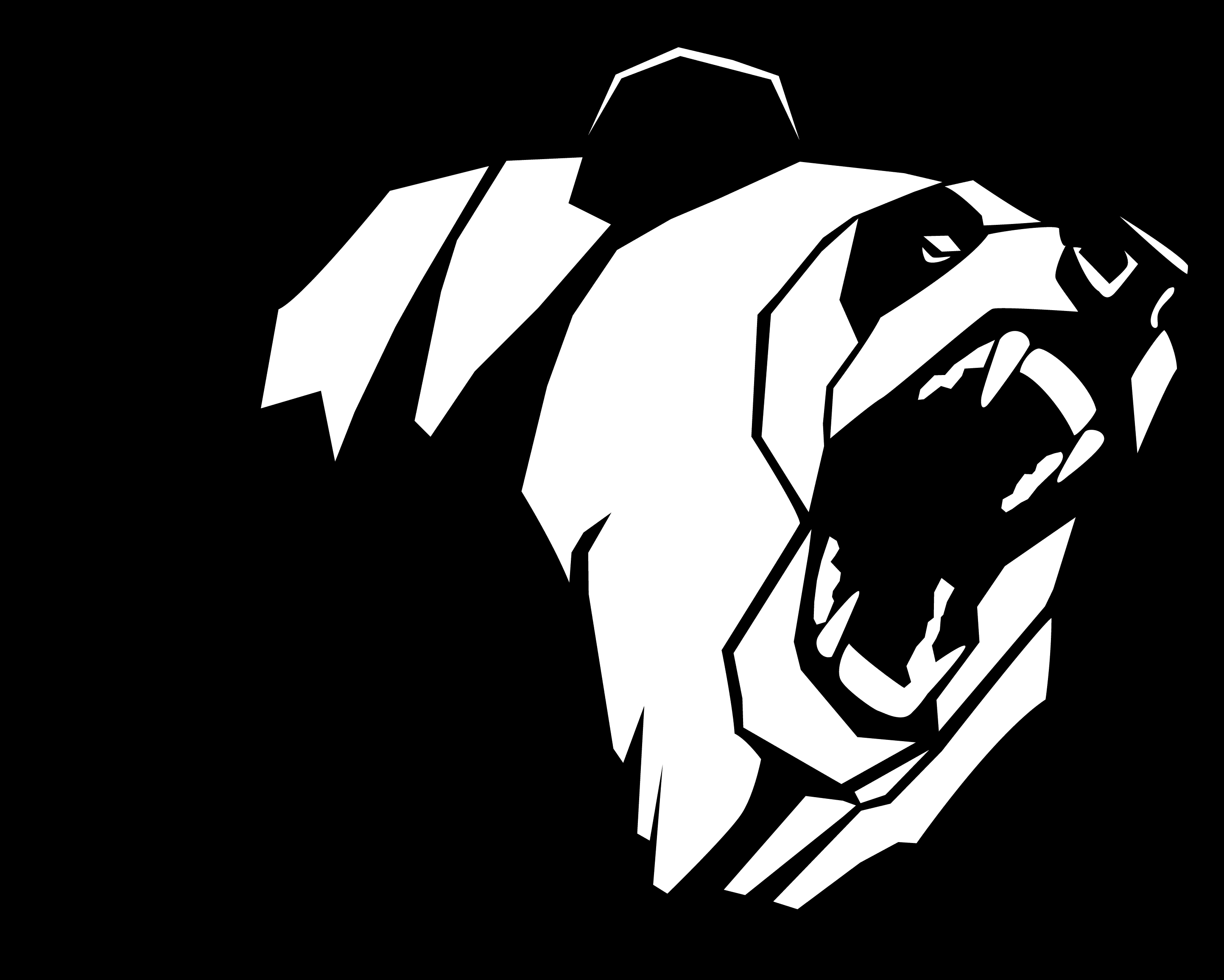 Агрессивный медведь вектор