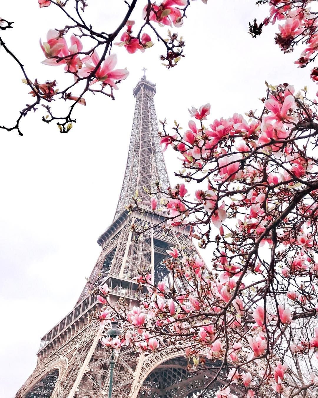 весенний париж