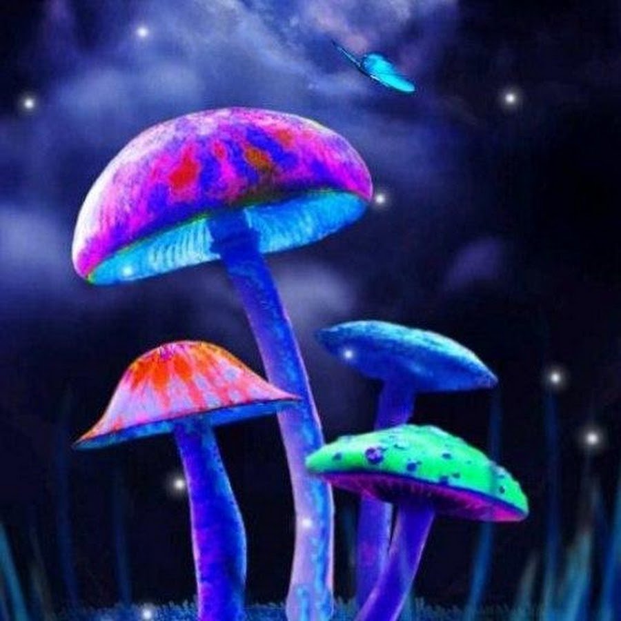 Светящиеся грибы