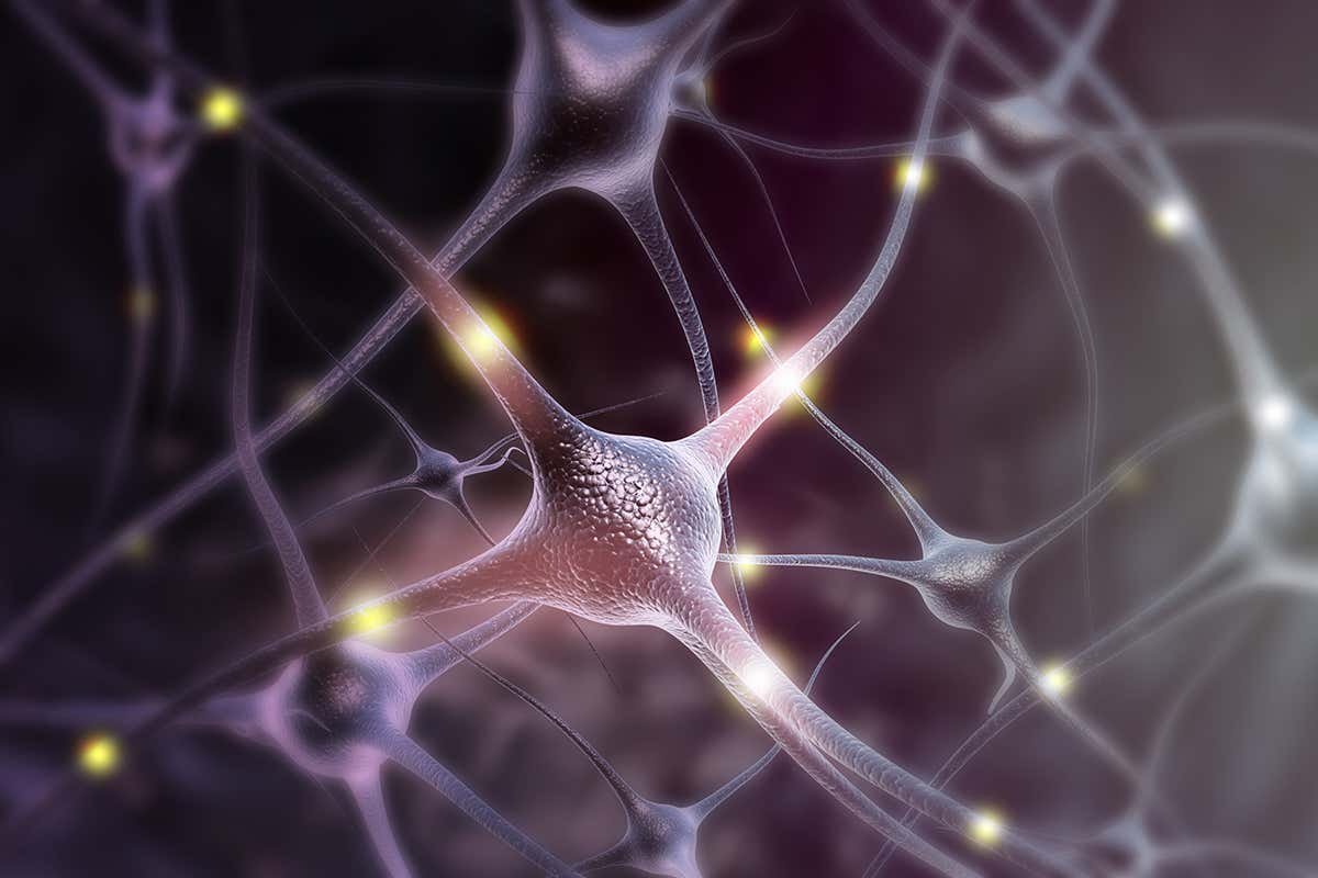 Скорость нейронов в мозге. Нейроны. Нейроны мозга. Мозг человека Нейроны. Разрыв нейронных связей.