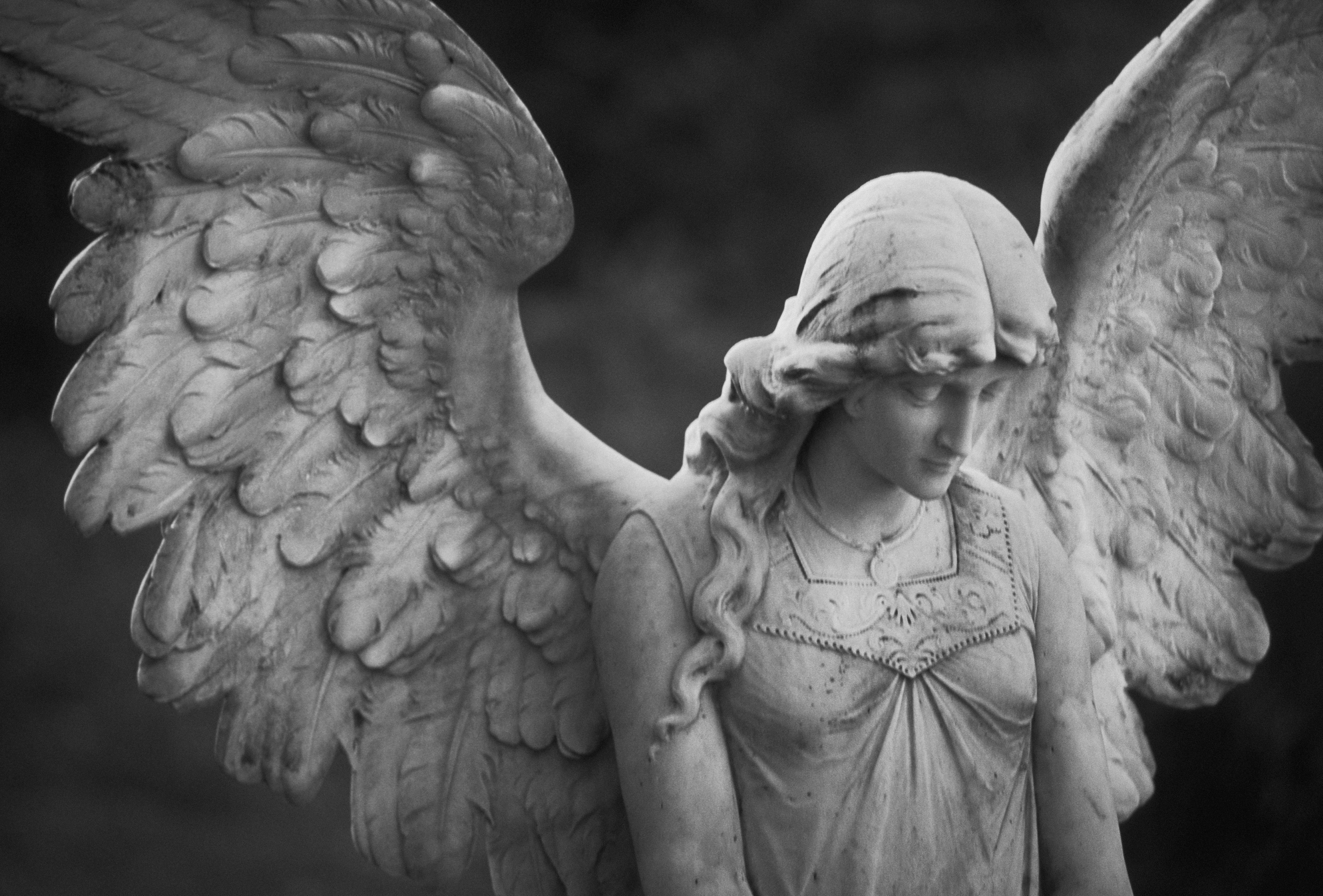 Ангель. Разиэль ангел статуя. Скульптура «ангел». Скульптура с крыльями. Статуя с крыльями.