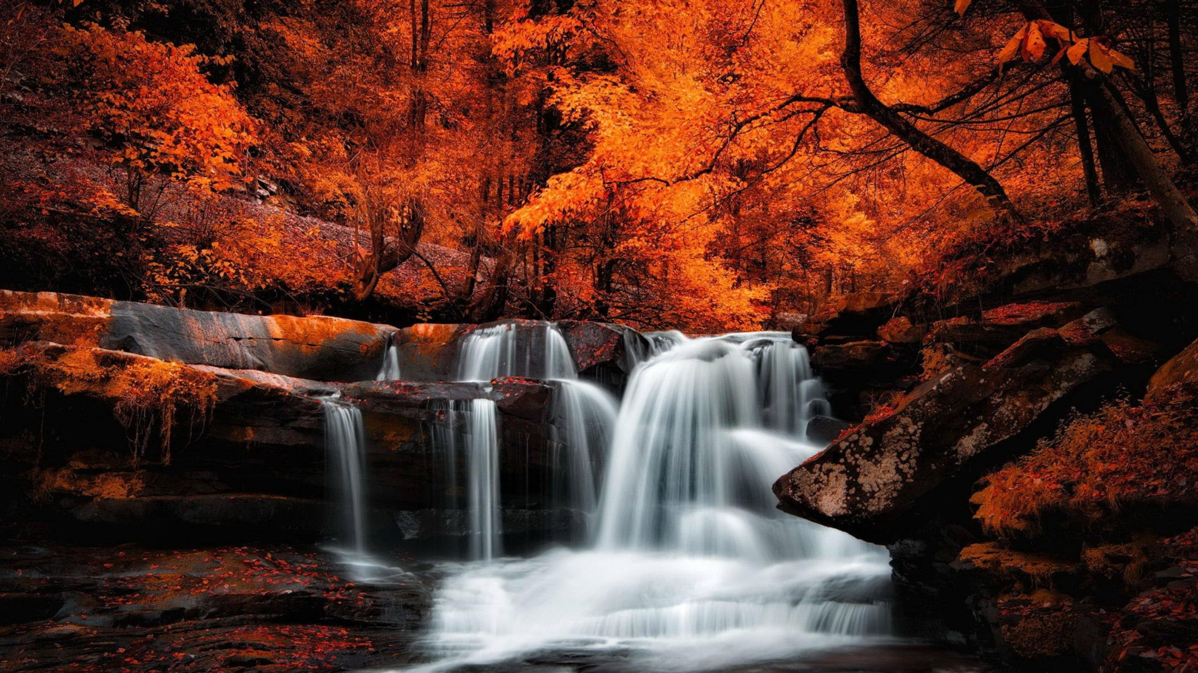 Rasmlar kompyuter. Природа. Красивая природа. Красивые пейзажи с водопадами. Осенний водопад.