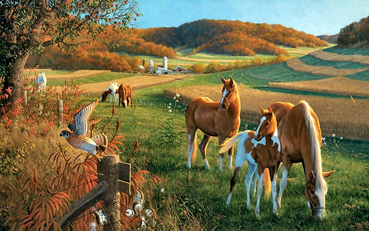Лошади на лугу картины