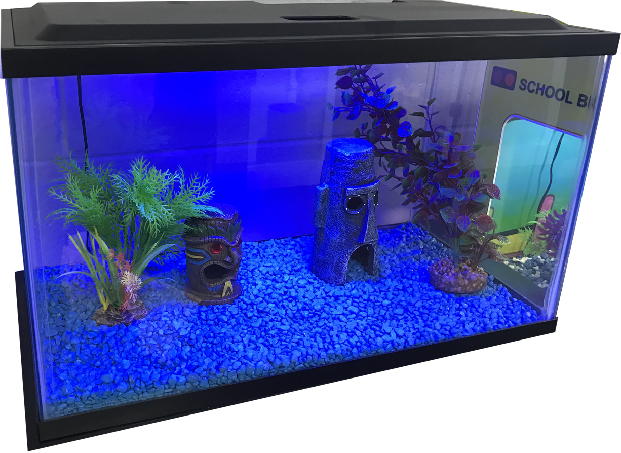 Как выглядит аквариум. Рыбки для аквариума. Аквариум с синим грунтом. Декор для аквариума. Декоративные рыбки для аквариума.