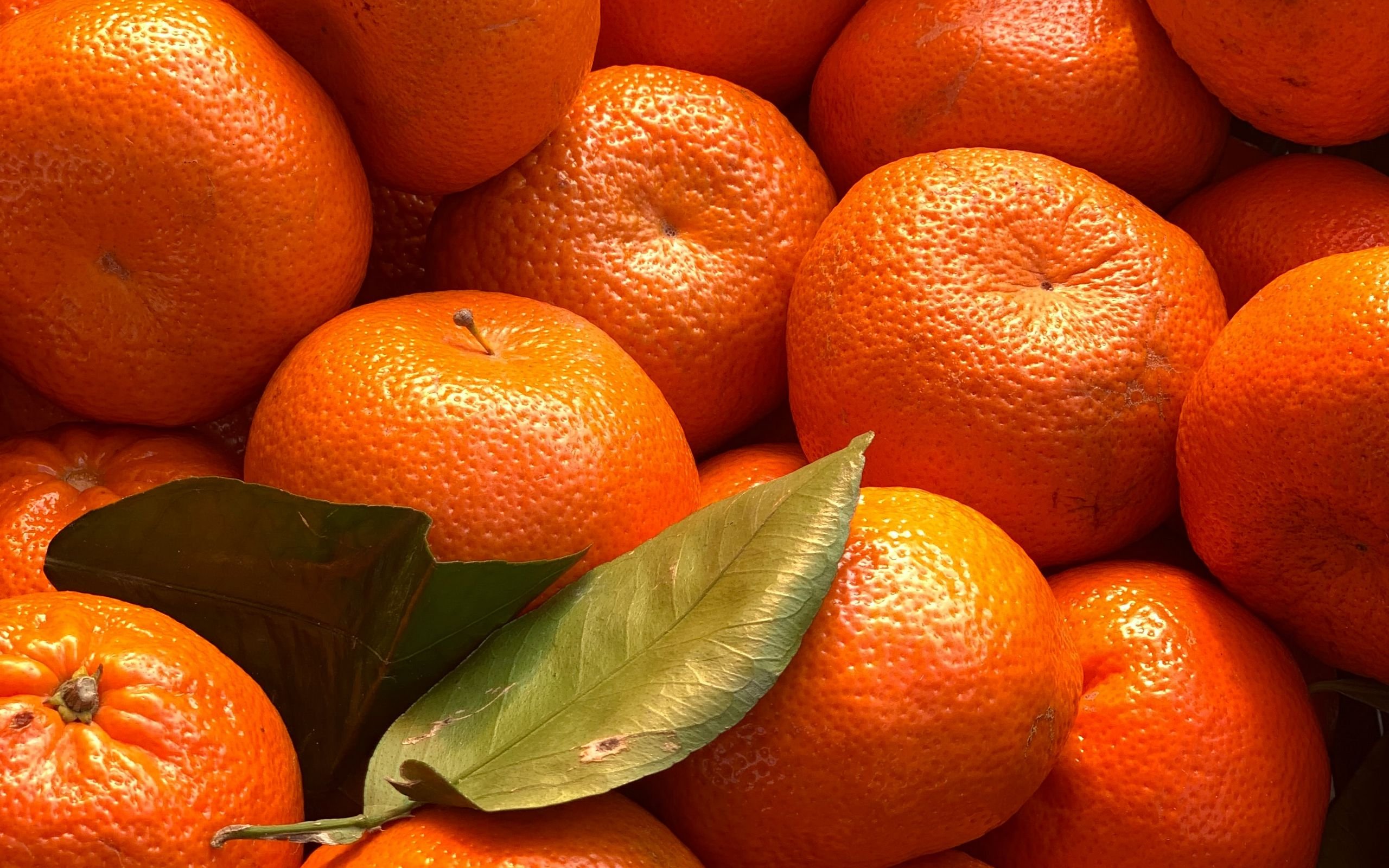 Мандарин обои. Оранжевый фрукт. Три мандарина. Оранжевые обои. Оранжевый мандарин.