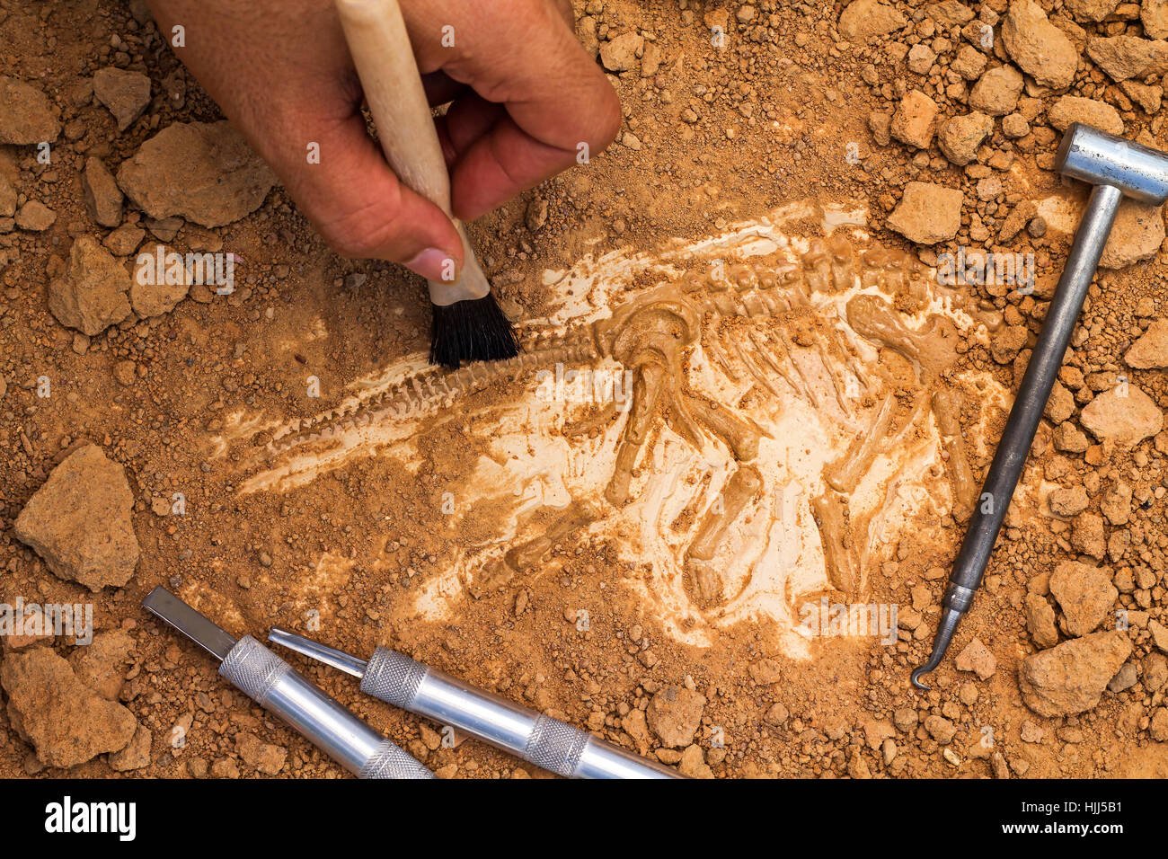 Инструменты палеонтолога для раскопок