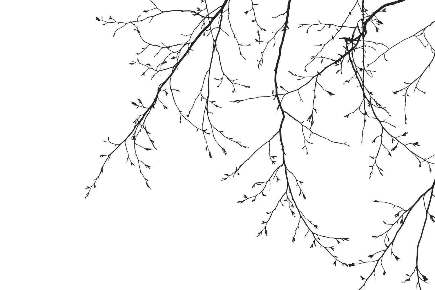 Штриховой рисунок ветка дерева на белом фоне