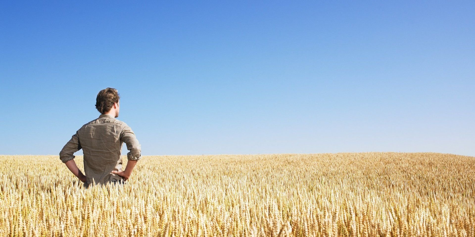Человек смотрит в поле. Человек в поле пшеницы. Человек в поле. Человек в поkе. Пшеница и человек.