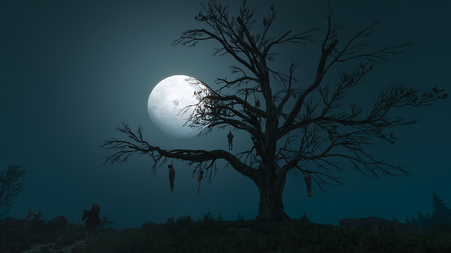 Ночь с луной 4. Ведьмак Луна. Мрачная Луна. Дерево ночью. Ночь лес Луна.