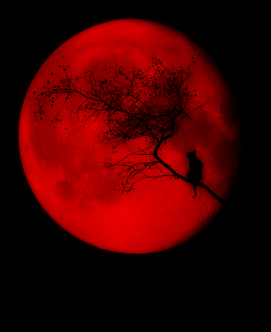 Включи кровавая ночь. Клан кровавой Луны. Красная Луна. Кровавое полнолуние.