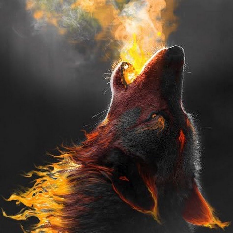 Книга огненный волк. Огненный волк Пандемониум. Волк в огне. Волк с огненными глазами. Огнедышащий волк.