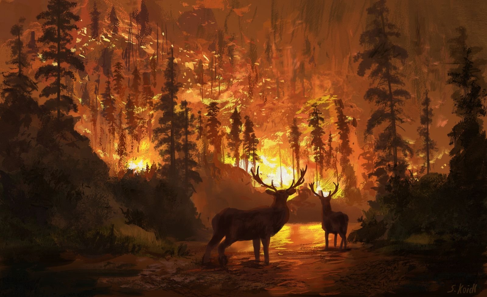 Огонь оленя. Горящий лес с животными. Пожар в лесу. Пожар в лесу и звери. Пожар в лесу арт.