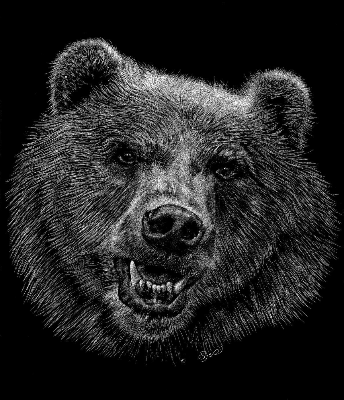 Медведь на черном фоне. Грозный медведь Гризли. Морда медведя. Крутые картинки медведя. Оскал медведя рисунок.