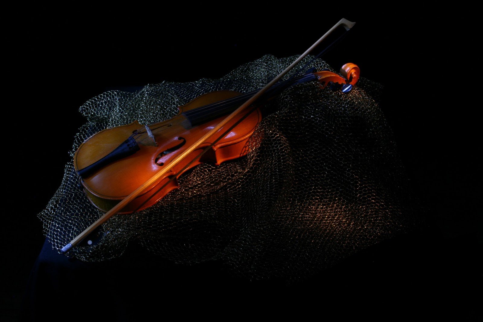 Violin скрипка. Скрипка. Скрипка на темном фоне. Необычная виолончель. Скрипка на черном фоне.